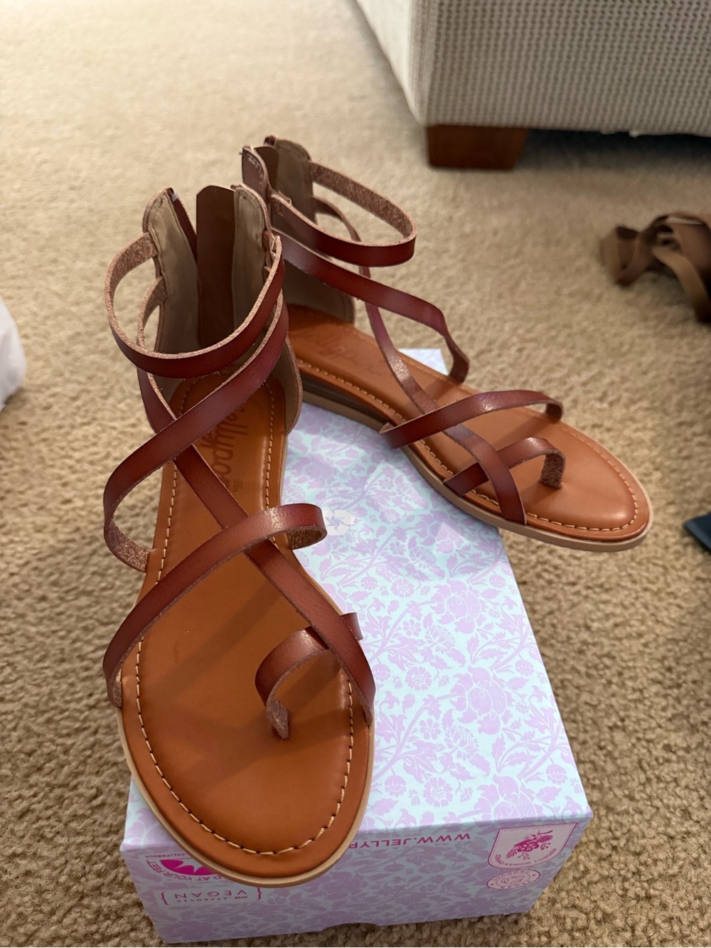 Jellypop Brown Strappy Toe-Loop Gladiator Sandals NWOT